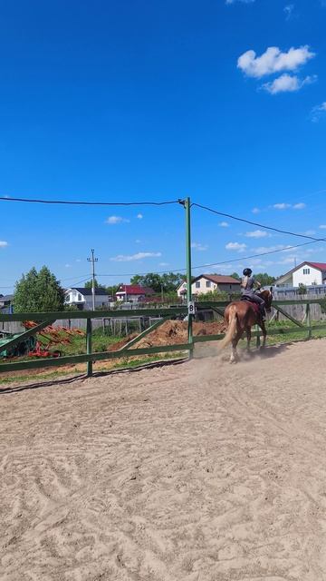 Ульяна и Каспер, рысь на плацу.