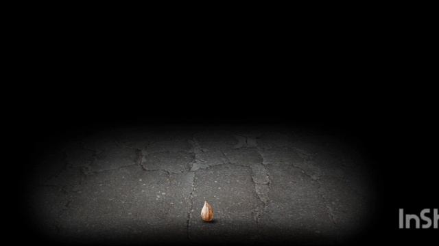 хоррорки🤗👻 все игры в описании