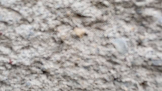 1000013886.mp4