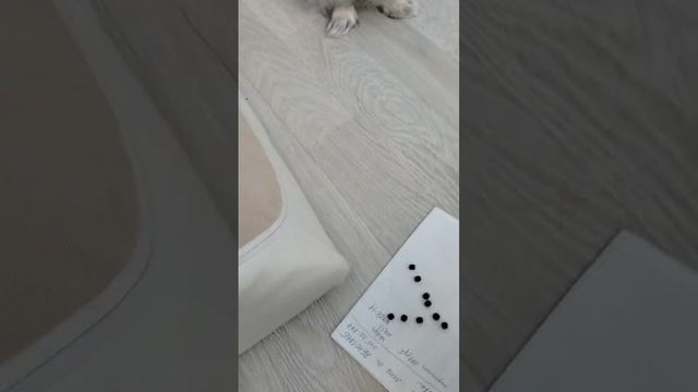 Ждем Федю