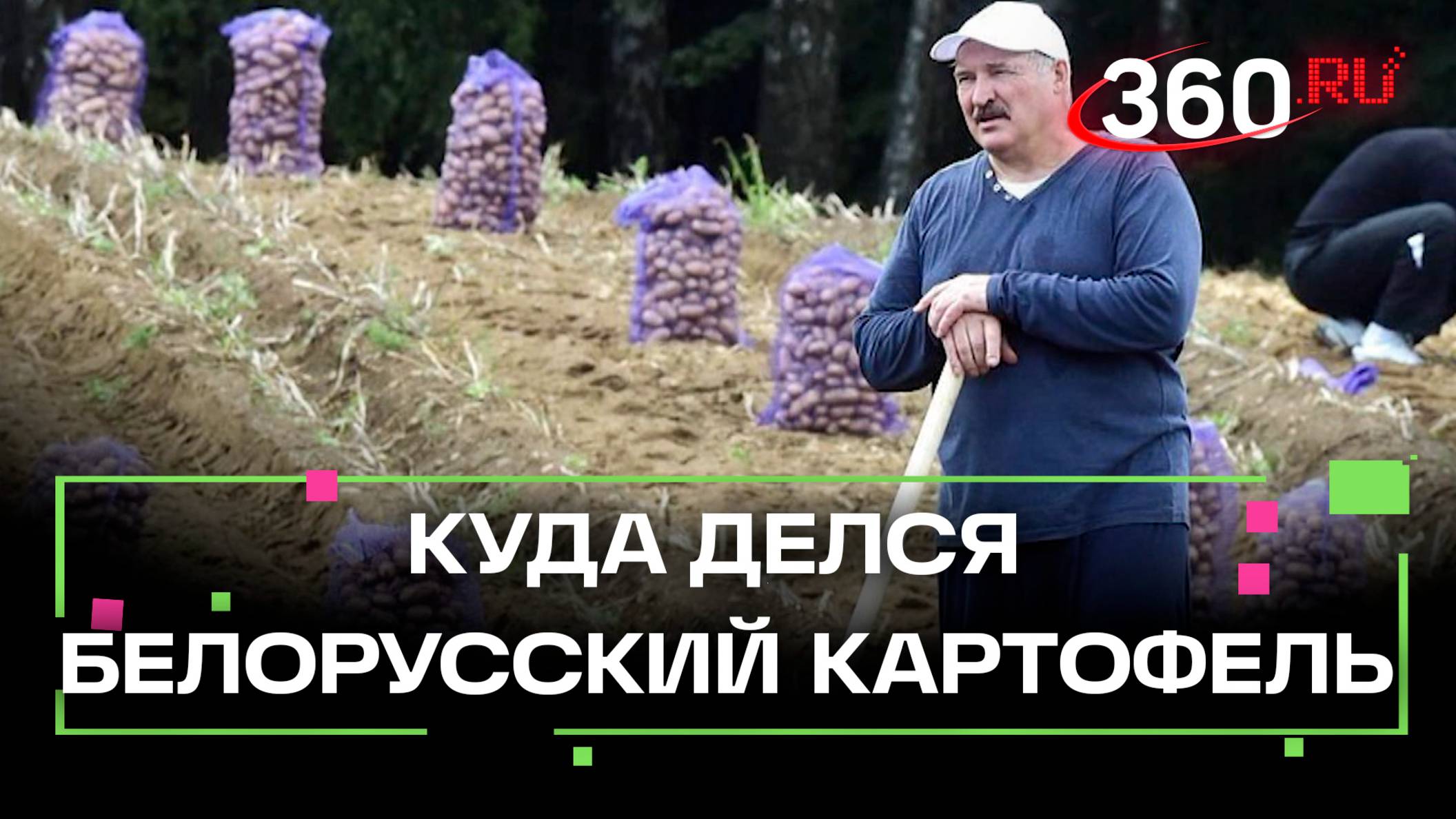 Путин спросил у Лукашенко, куда делась белорусская картошка