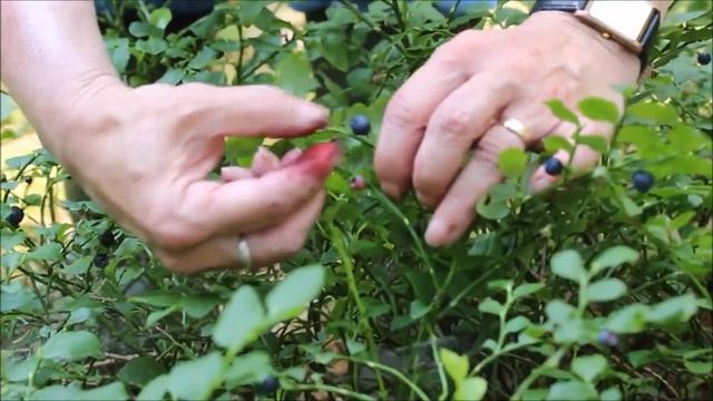 ПЕЧЕНЬ МОЛОДЕЕТ на ГЛАЗАХ! ЕШЬ ЭТИ ПРОДУКТЫ и она буде?