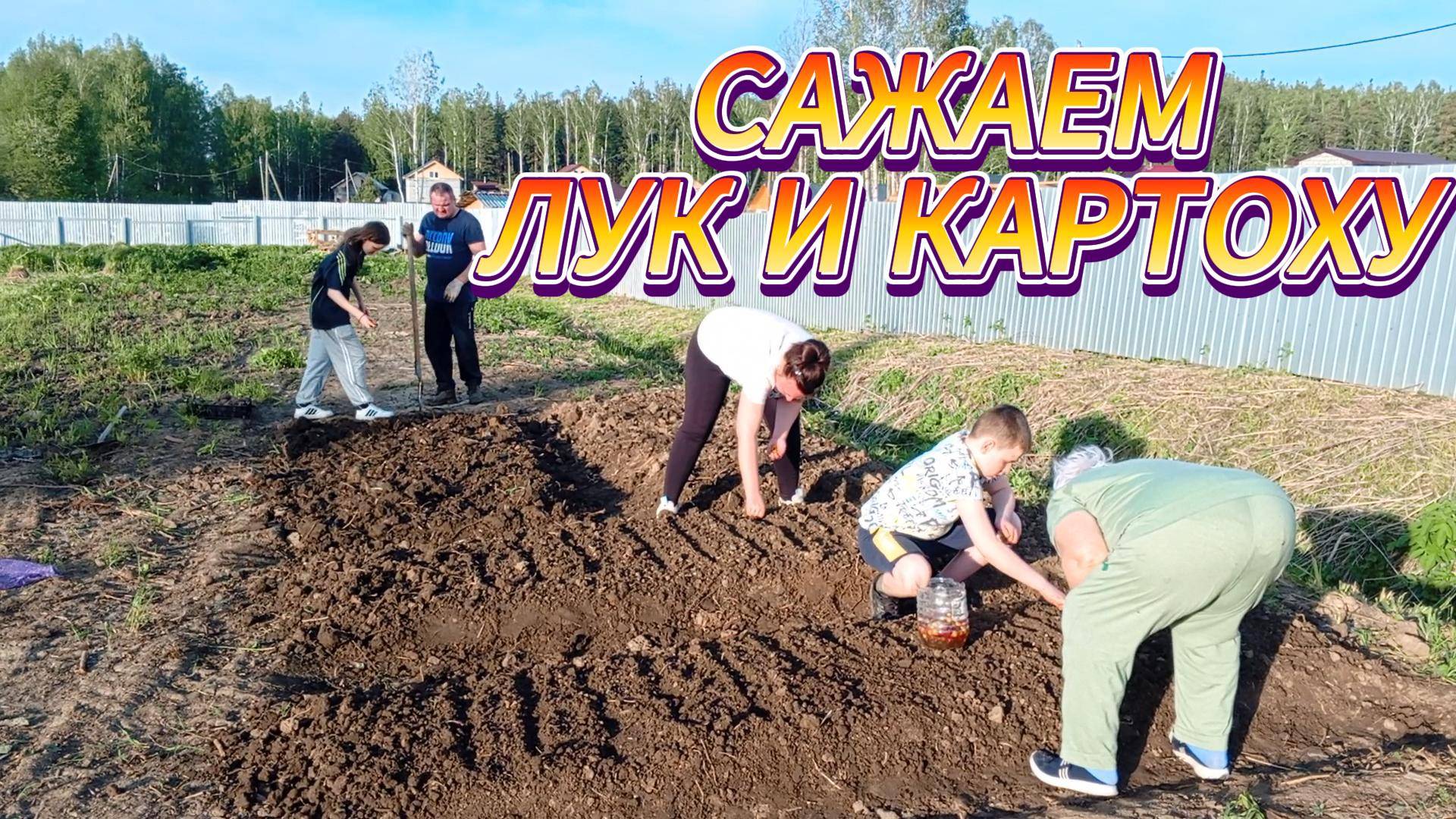 САЖАЕМ ЛУК И КАРТОХУ ПРЯМО В ЦЕЛЕНУ