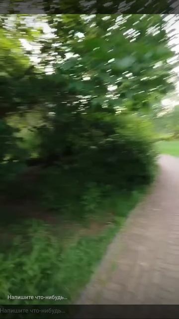 1000061523.mp4