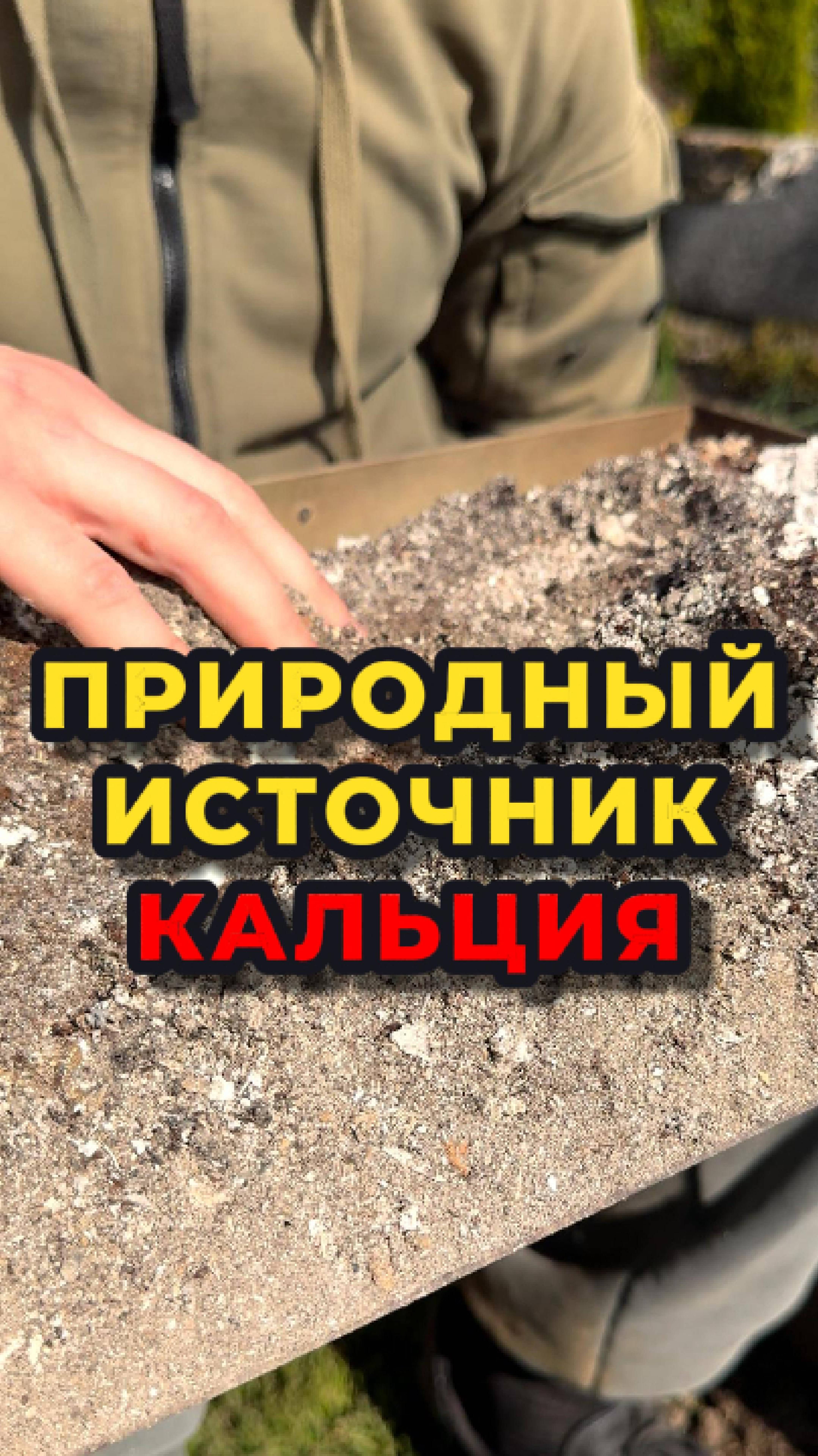 🌳ДРЕВЕСНАЯ ЗОЛА - это прекраснейшее удобрение, которое я никогда в жизни не выбрасываю🙌