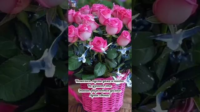 VID_20250527_223543_209.mp4