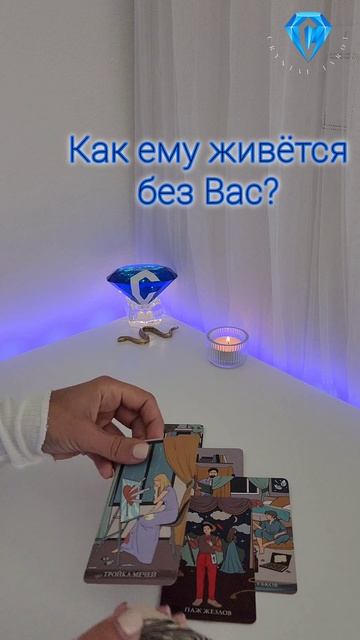 Как ему живётся без Вас