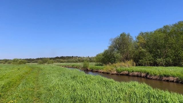 Smit41 зелёный луг и река