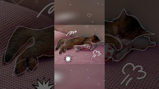 Топ фотографии с Амуркой