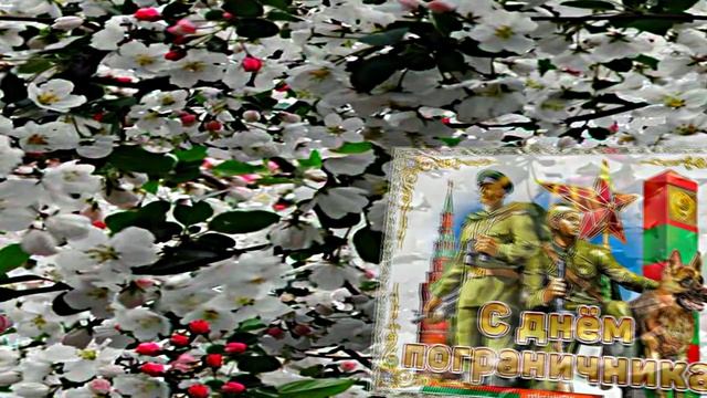 С Днём Пограничника 9! Праздничное Поздравление от Киностудии Мудрого Кота Тимофея!!!