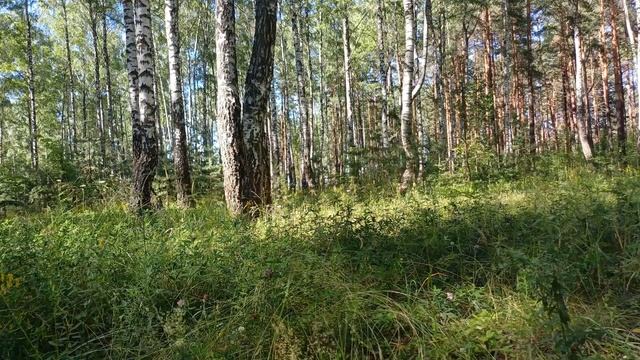 Дед учил внука, что Хлеб - всему голова! Но когда тот по?