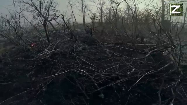 Выдвижение разведки (18+)