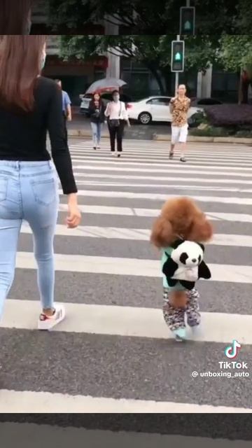 1000003007.mp4