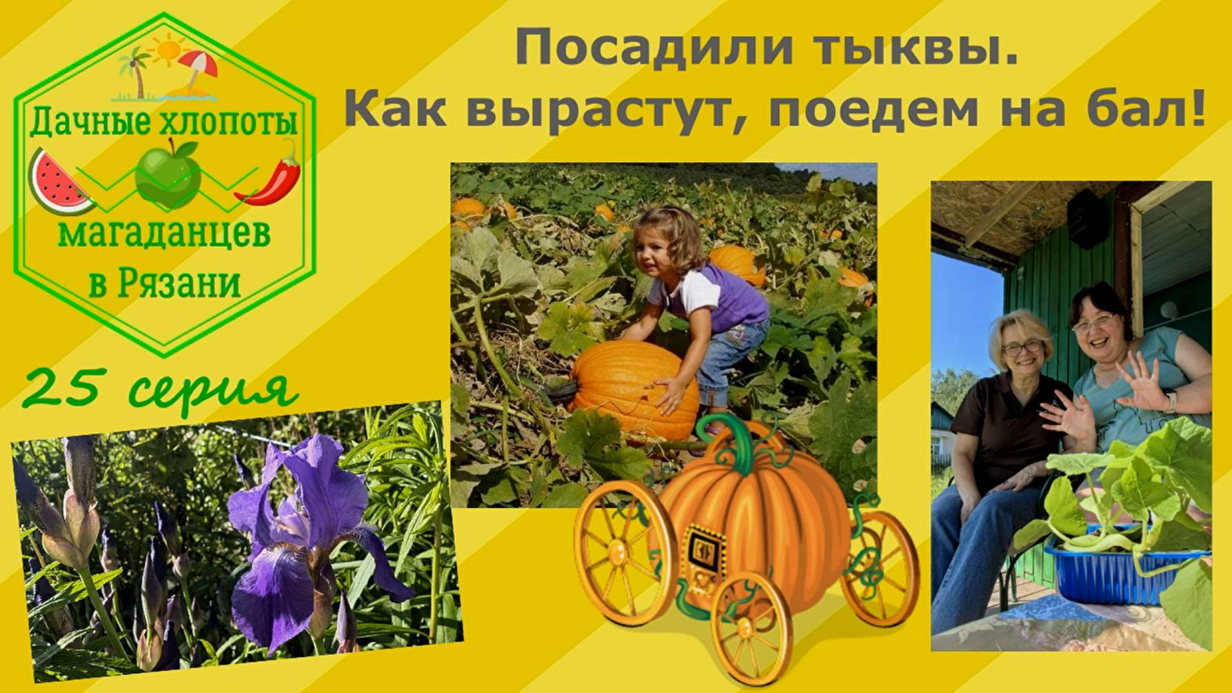Посадили тыквы. Как вырастут, поедем на бал! 25 серия дачных хлопот магаданцев в Рязани