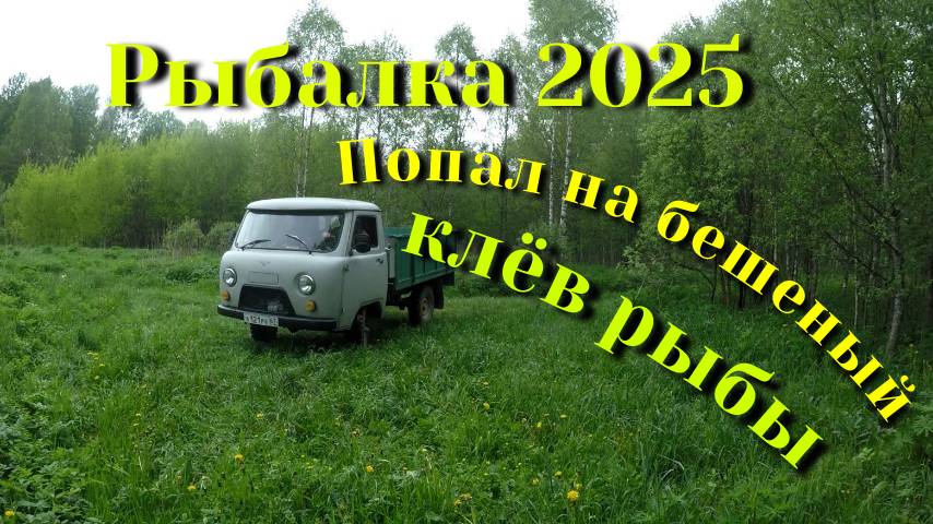 Рыбалка 2025. Тут очень много рыбы.