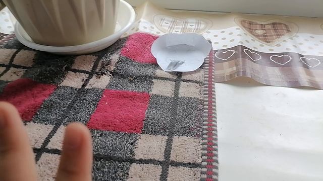 Подкидыш?????? .mp4