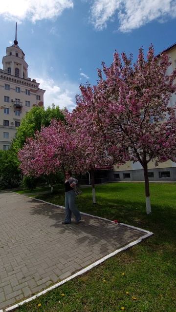 Яблони ждать не будут. Успеть сплясать в красоте🌸🌸🌸