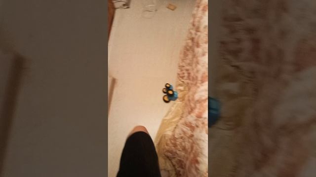 1000028251.mp4