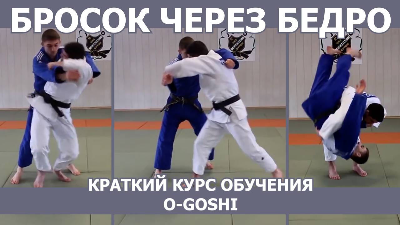 Дзюдо. Борьба самбо. Джиу-джитсу. Бросок через бедро. Краткий курс обучения.