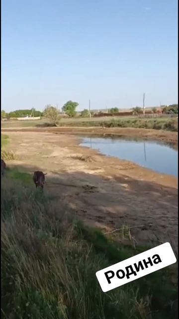 1000311309.mp4