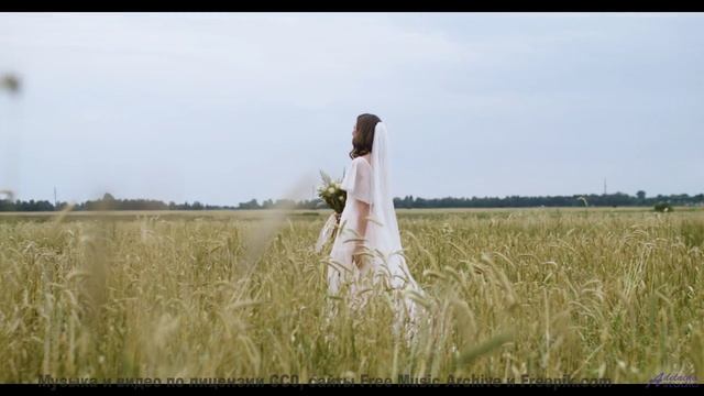 Музыка, которая звучит как обещание 'мы вернёмся сюда ещё раз' - Inside the piano -- Cartouch -- Car