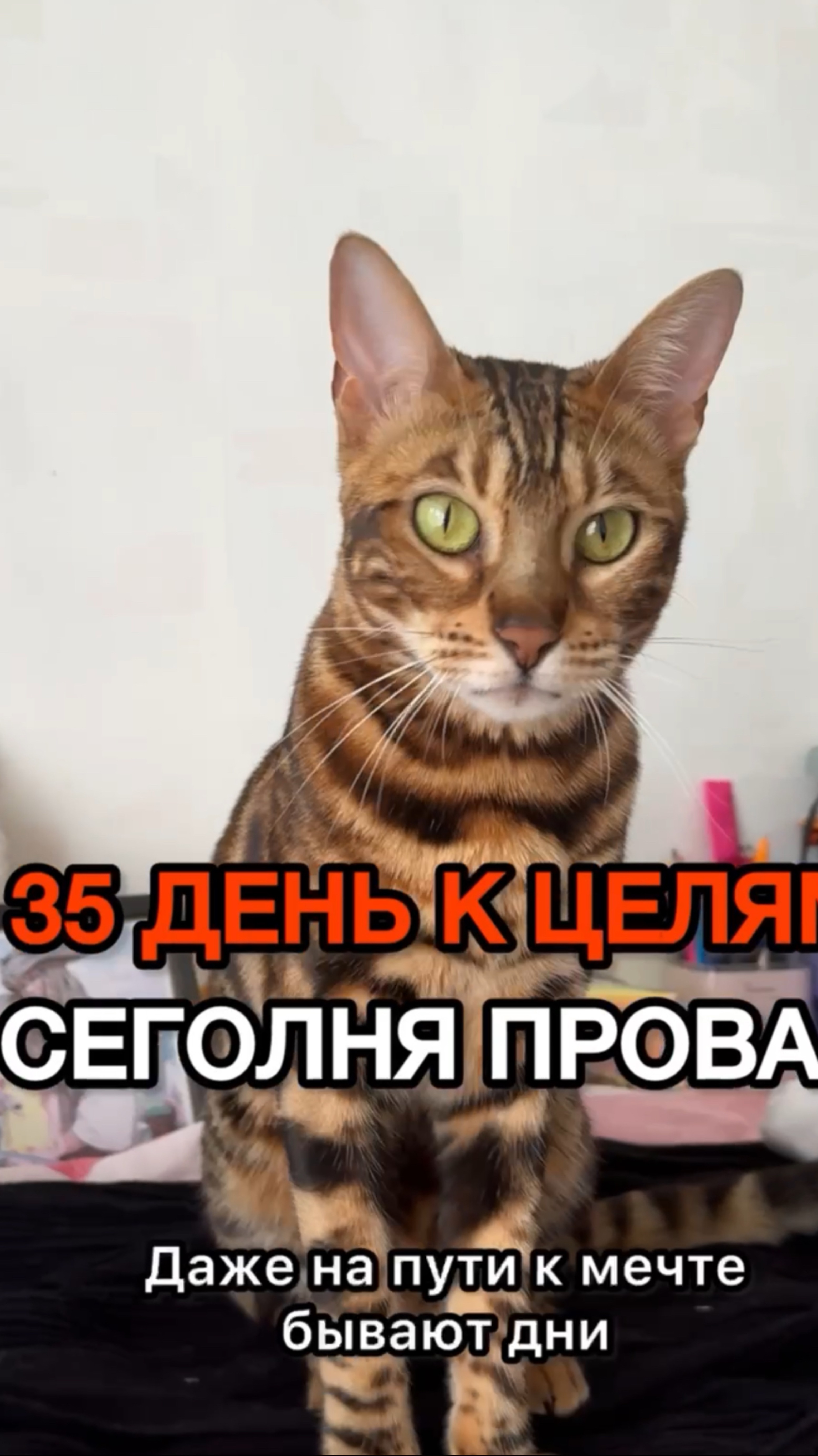 На пути к мечте бывают дни - когда я падаю - но я встаю и иду дальше