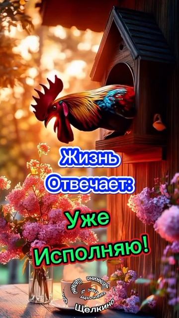 Доброе утро. Спокойной ночи. ВидеоОткрытки