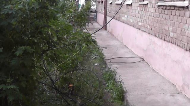 Ураган в Менделеевске 26.06.2013