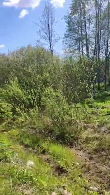 д. Заречье 50:18:0080426:1188