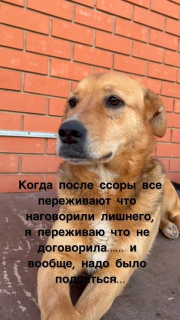 Сара❤️