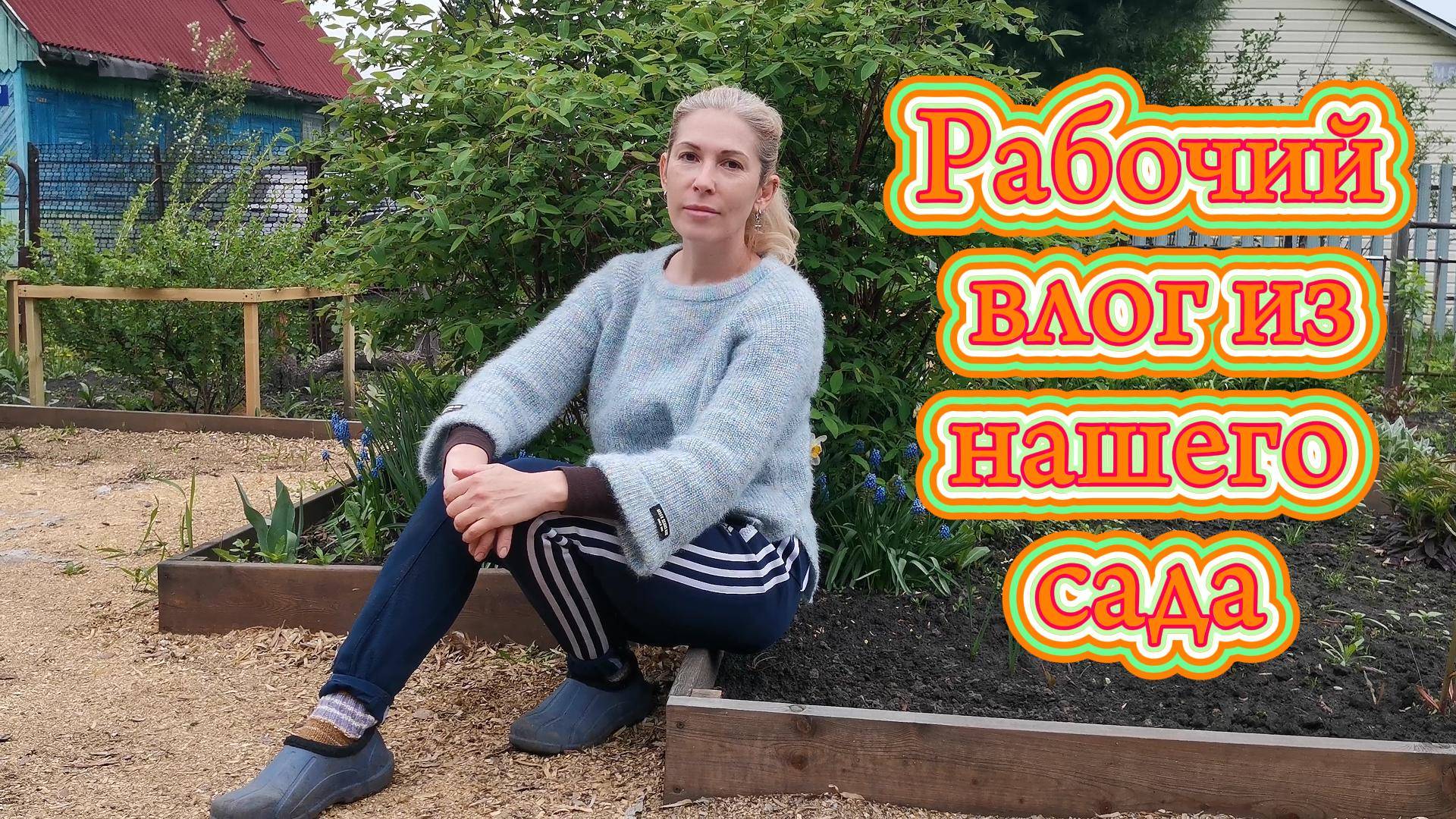 Трудовые будни дачника: высадка капусты, посев зелени и гороха.  Навели красоту в малиннике.