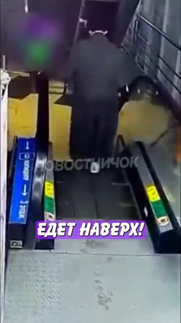 Новостничок (783)
