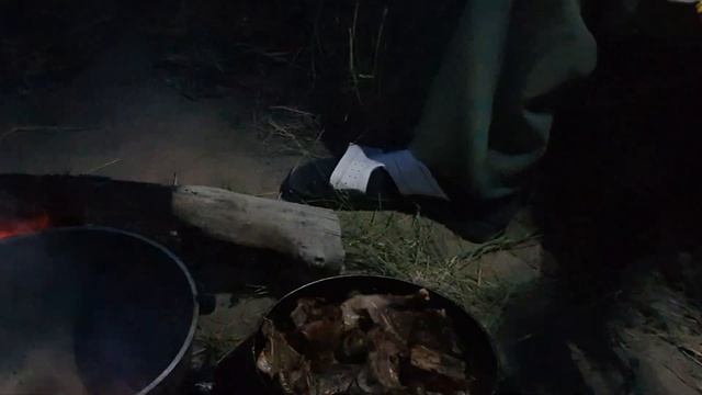 Рыбалка с ночёвкой. Клёв сазана, карася. Жара!