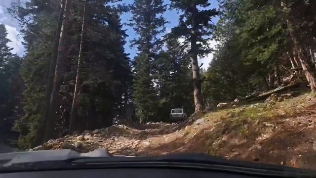 Песни про Ниву