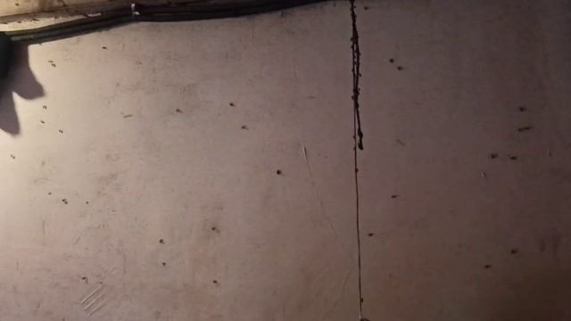 Мухопитомник. Ой, нет! Охладитель молока)