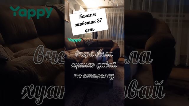 #тренировкиживота, #плоскийживот, #тренировкидляживота, #упражнениядляживота, #животик, #abs, #core,