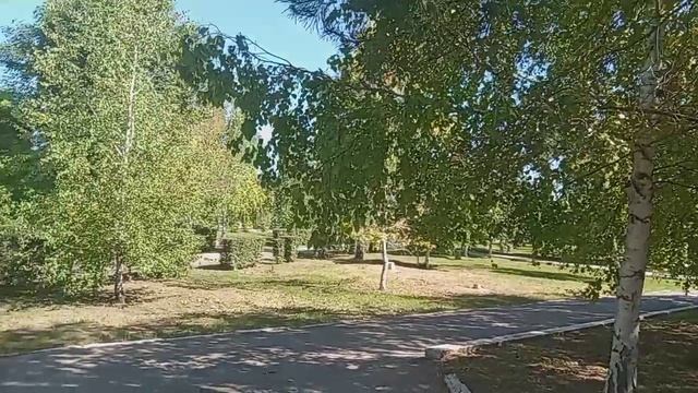 ЦЕНТР ГОРОДА ПУГАЧЁВА И АЛЛЕЯ