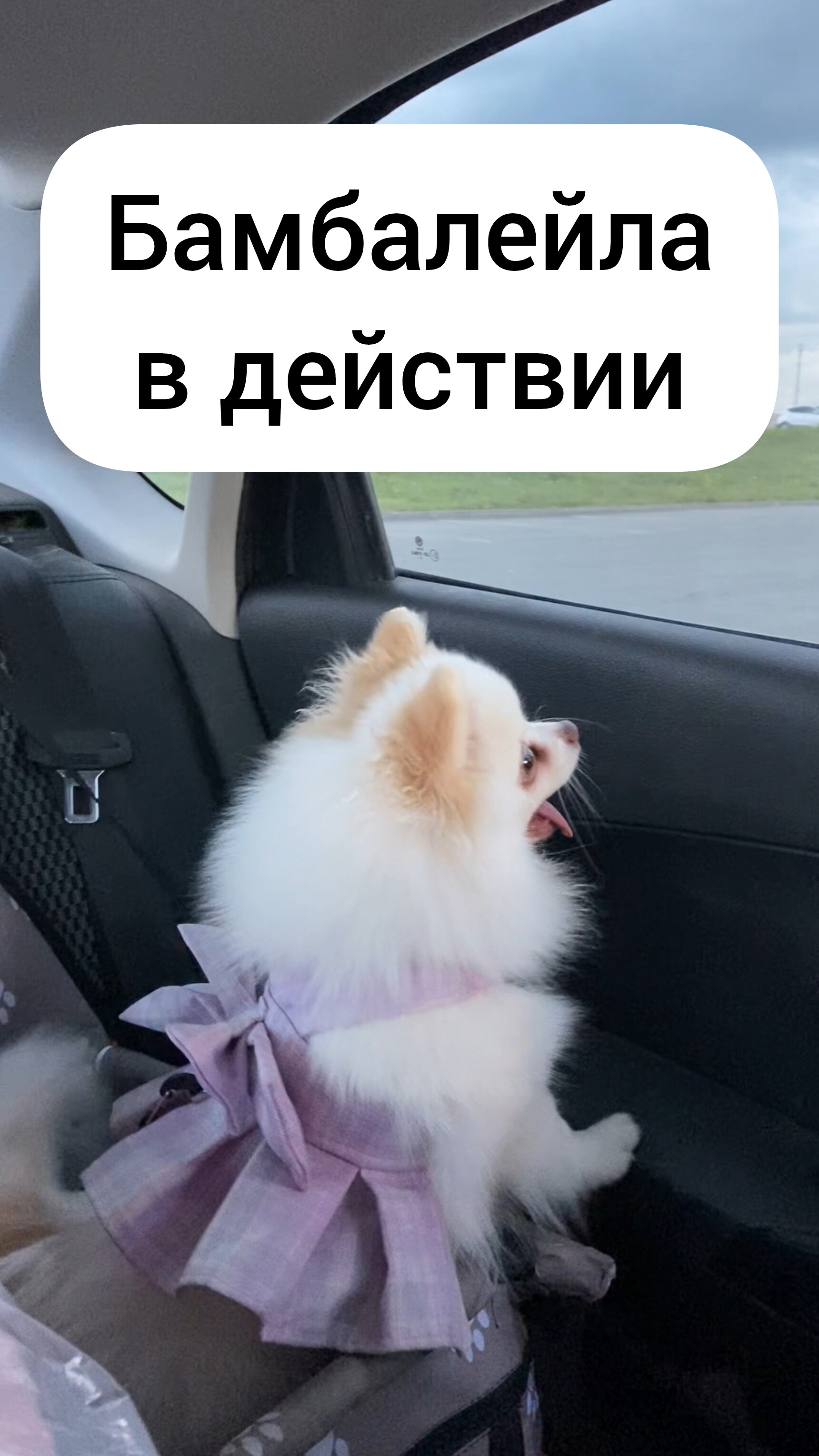 Когда больше не можешь сдержать свою бамбалейлу