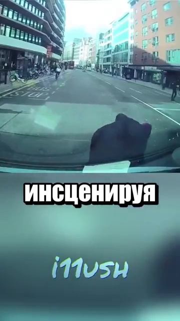 i11ushenka (457)