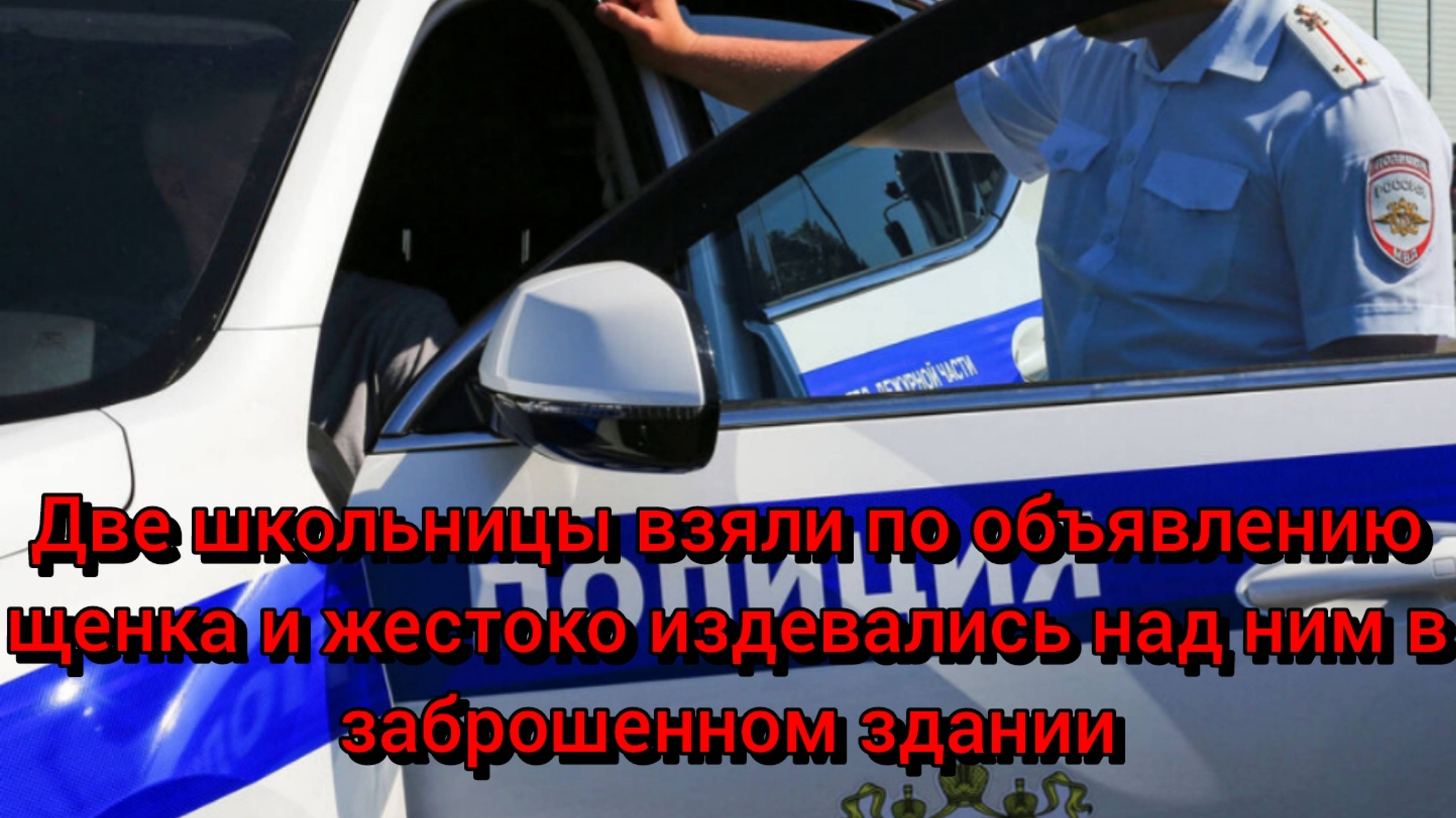 Две школьницы взяли по объявлению щенка и жестоко издевались над ним в заброшенном здании