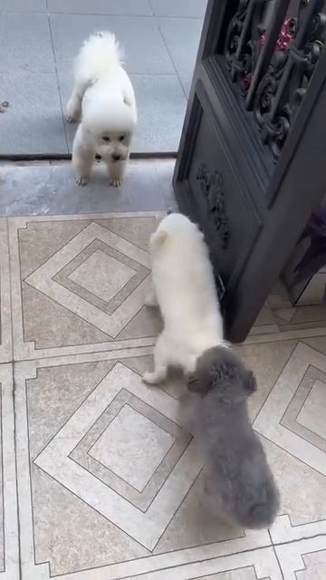 Не лезь к нему