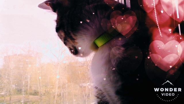 Манюша ❤️