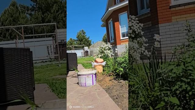 Невыспавшаяся еду работать на сады