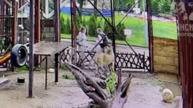 Летний дождь... Легкая грусть...