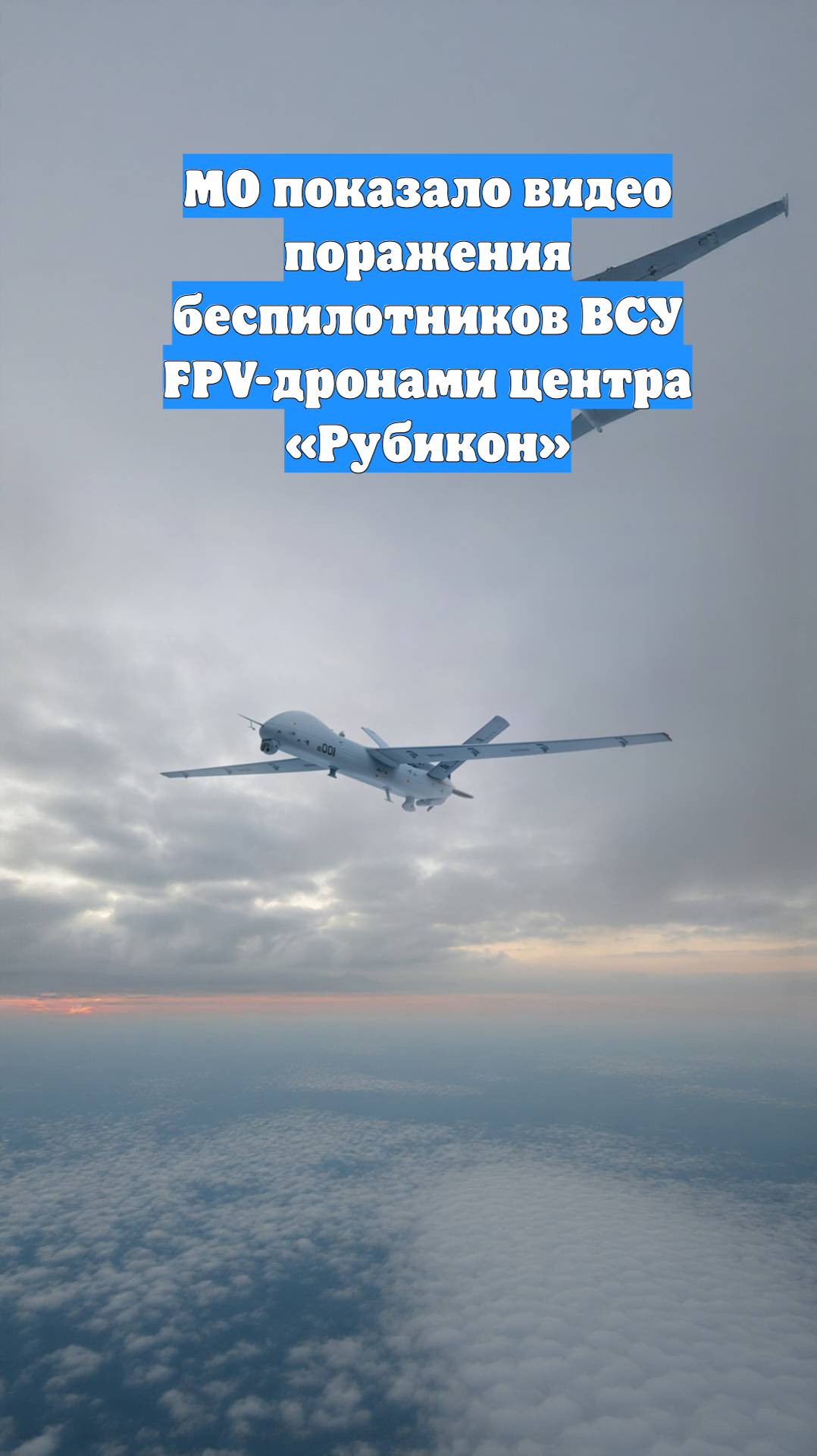 МО показало видео поражения беспилотников ВСУ FPV-дронами центра «Рубикон»