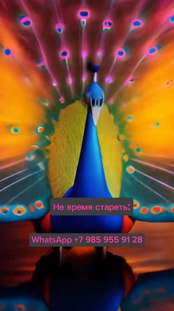 Добро пожаловать в мир Молодости