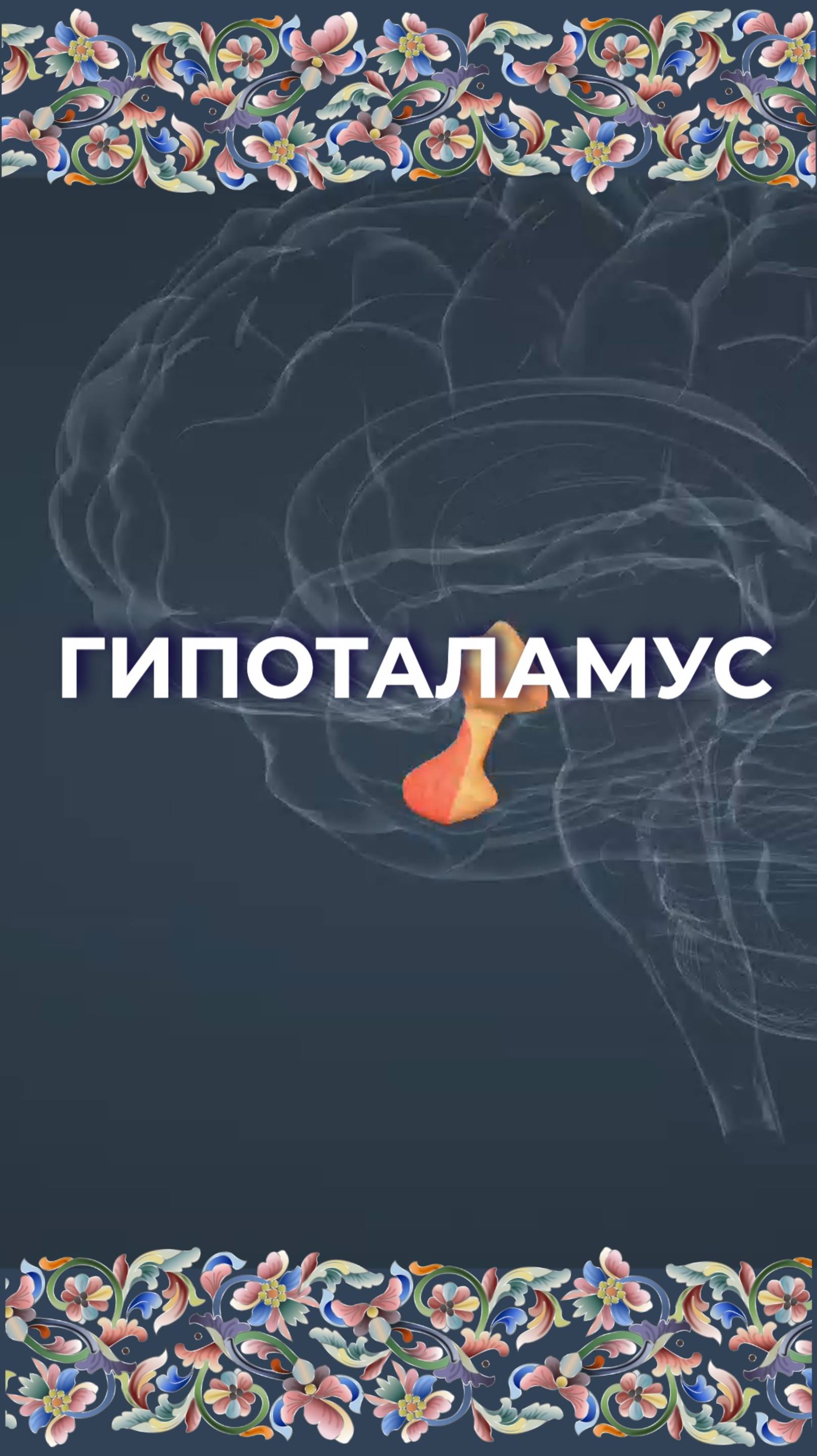 Гипоталамус