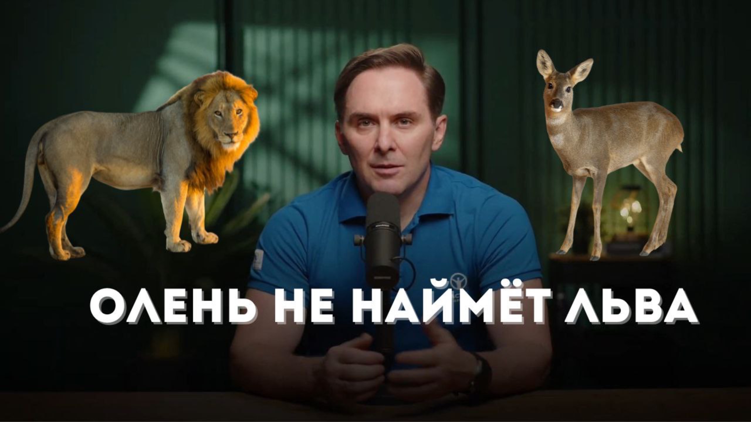 ОЛЕНЬ НЕ НАЙМЁТ ЛЬВА☝️