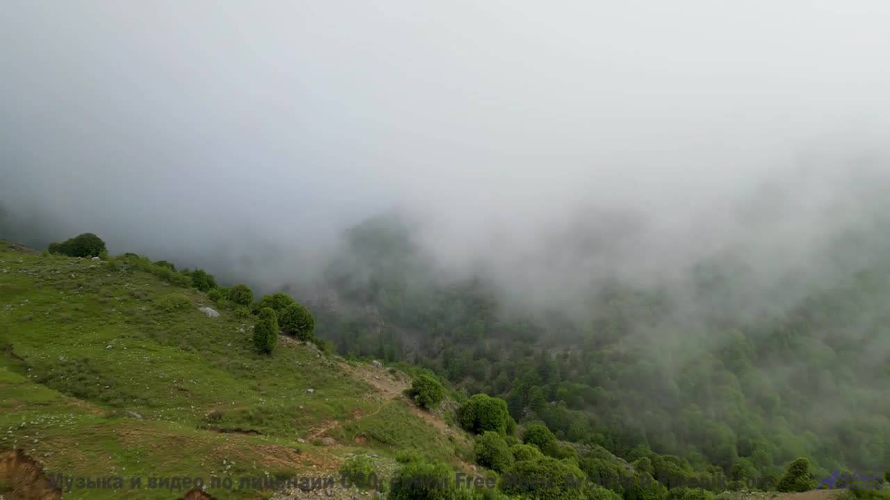 Никто не останется равнодушным к такому сочетанию - Forte -- Ketsa -- Summer With Sound