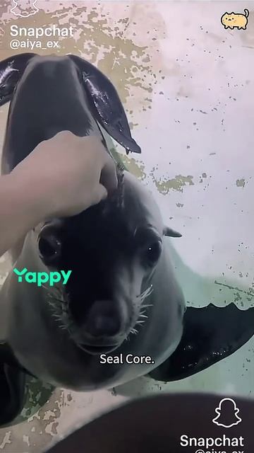 Милашки🤩